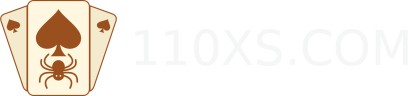 110XS.COM